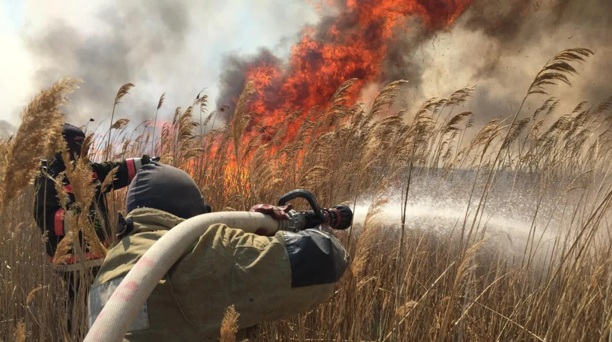 В Атырауской области горит природный резерват
