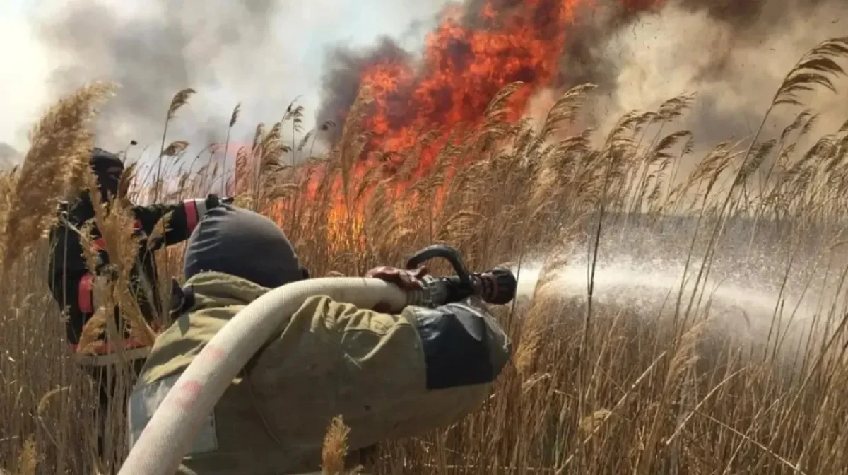 Атырау облысындағы «Ақ Жайық» резерватында қамыс өртеніп жатыр