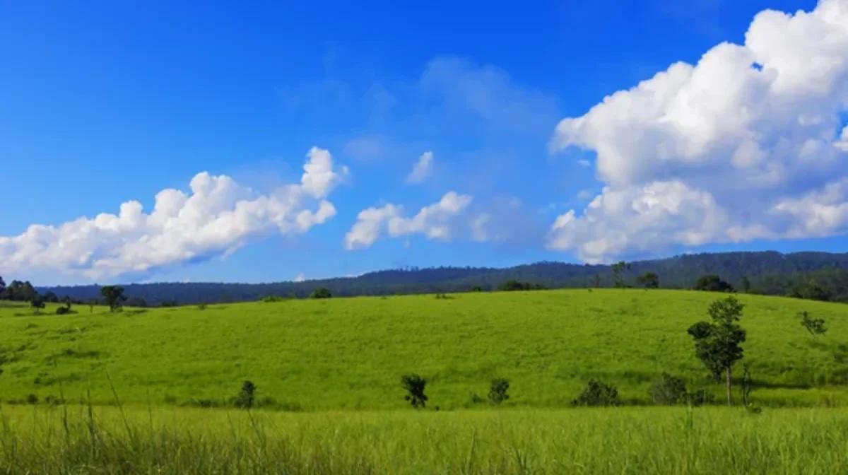 Абай облысында 42 мың гектар жер мемлекетке қайтарылды