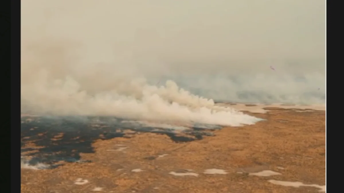 Атырауда табиғи резерват аумағындағы өртті сөндіруге 100 тонна су кеткен