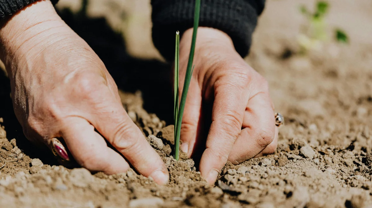 Министр заявил о кадровом голоде в агросекторе Казахстана
