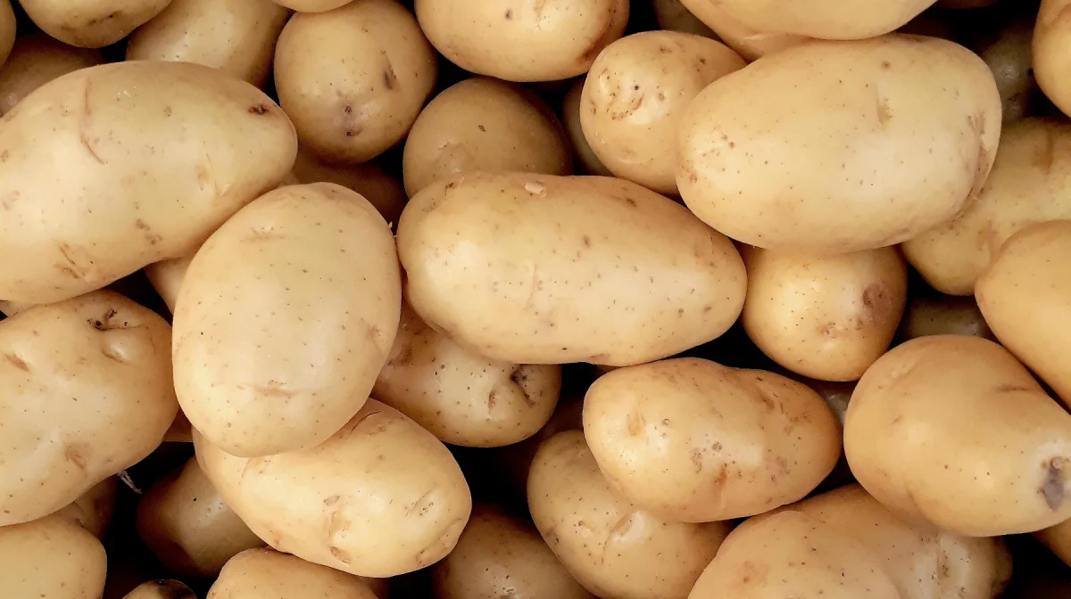 Китайская и пакистанская картошка спасают казахстанский рынок