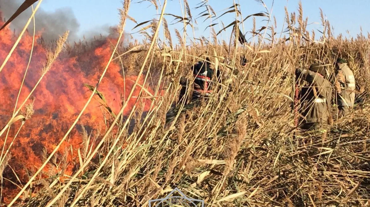 Атырауда қамыс өртеніп, қаланы көк түтін басып тұр