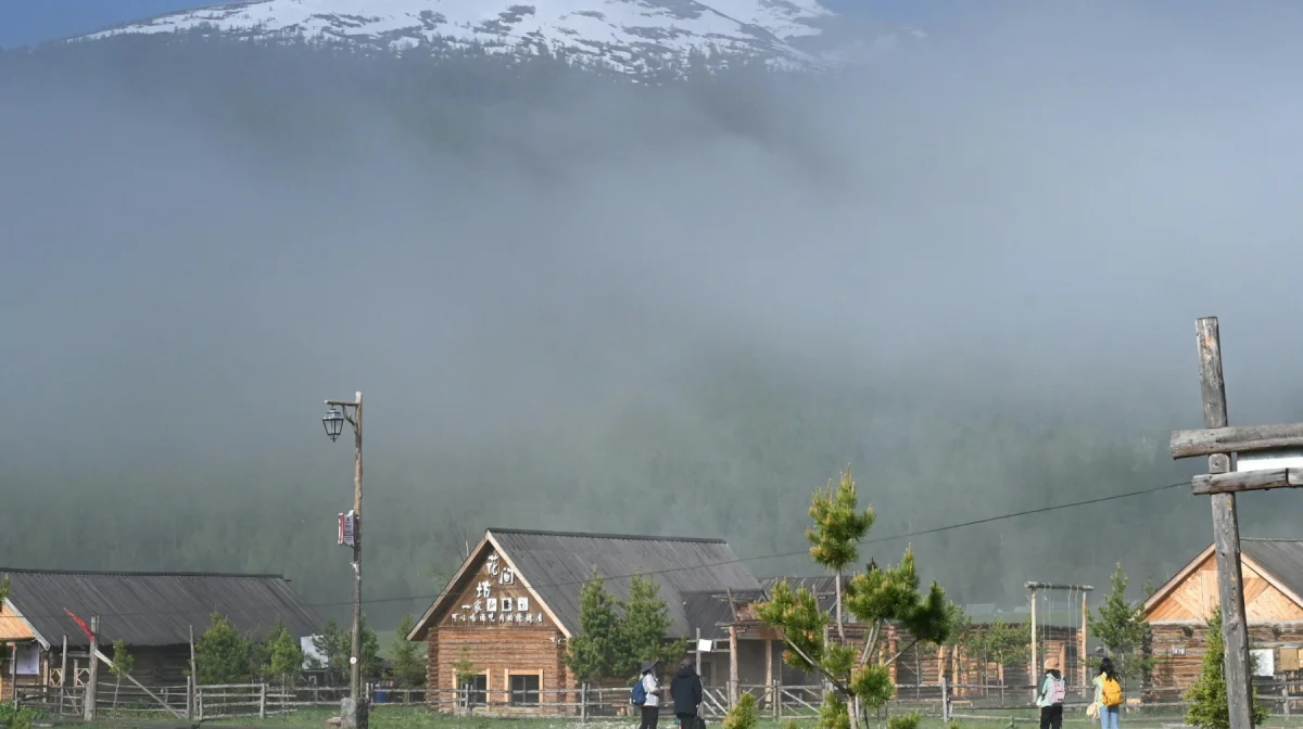 Села без интернета и медицины — сенаторы о системных провалах в исполнении бюджета