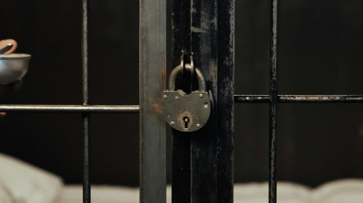 Сенат принял закон об амнистии к 30-летию Конституции