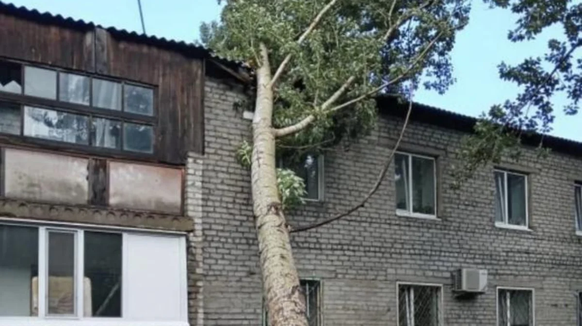 Павлодар облысындағы дауыл: бір адам қаза тауып, ондаған нысан зақымданды