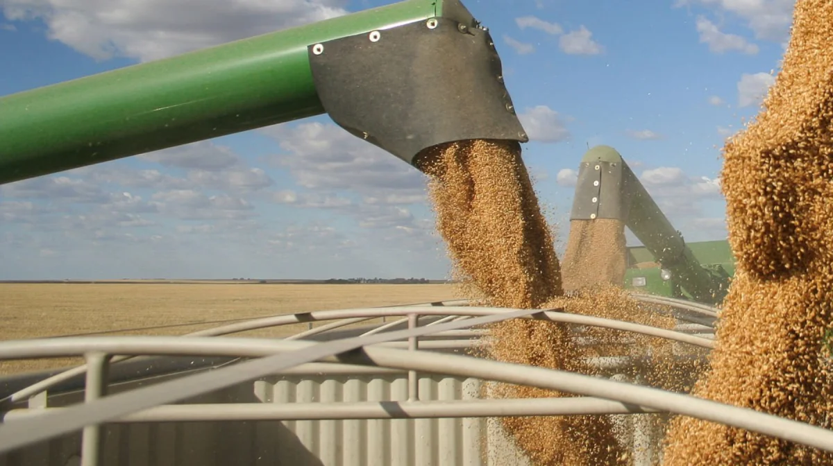 Переизбыток пшеницы: Казахстан готов к любым зерновым кризисам?