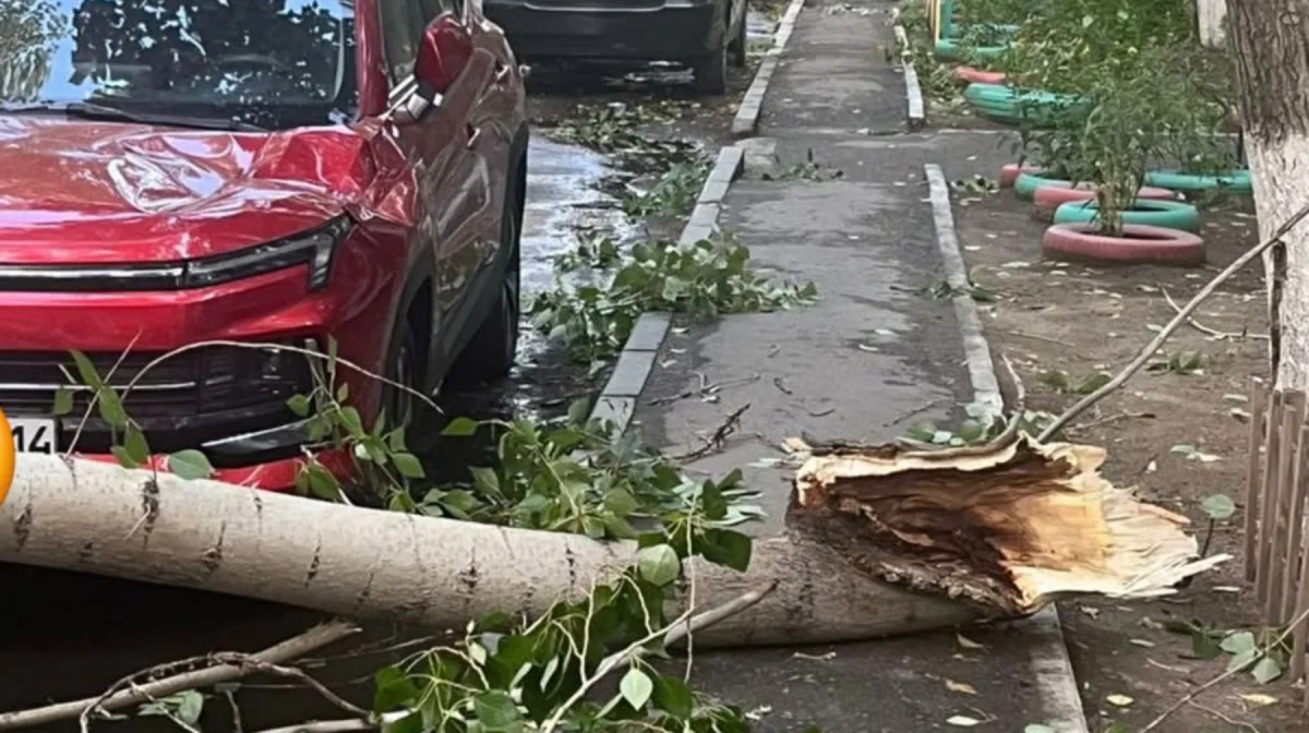 В Павлодарской области объявят режим ЧС: пострадавшим от урагана выплатят компенсации