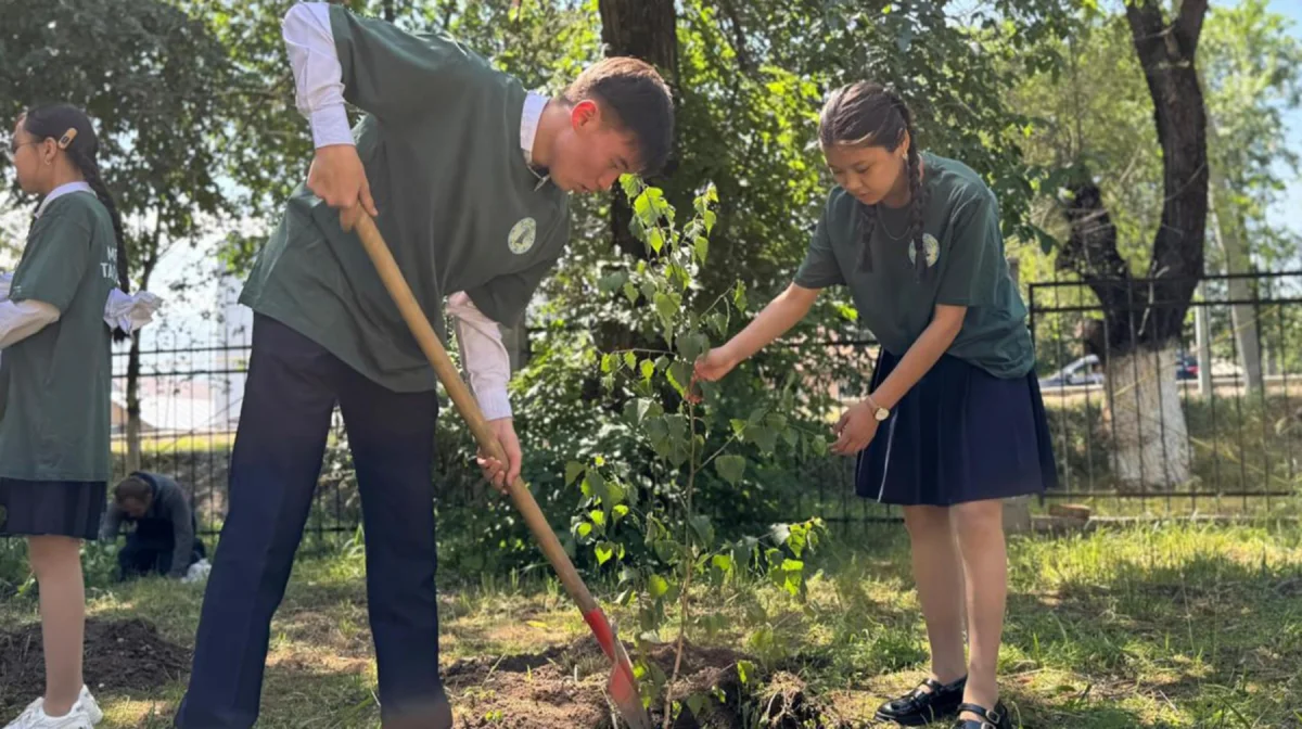 Қазақстанда 2027 жылға дейін 2 млрд ағаш отырғызылады