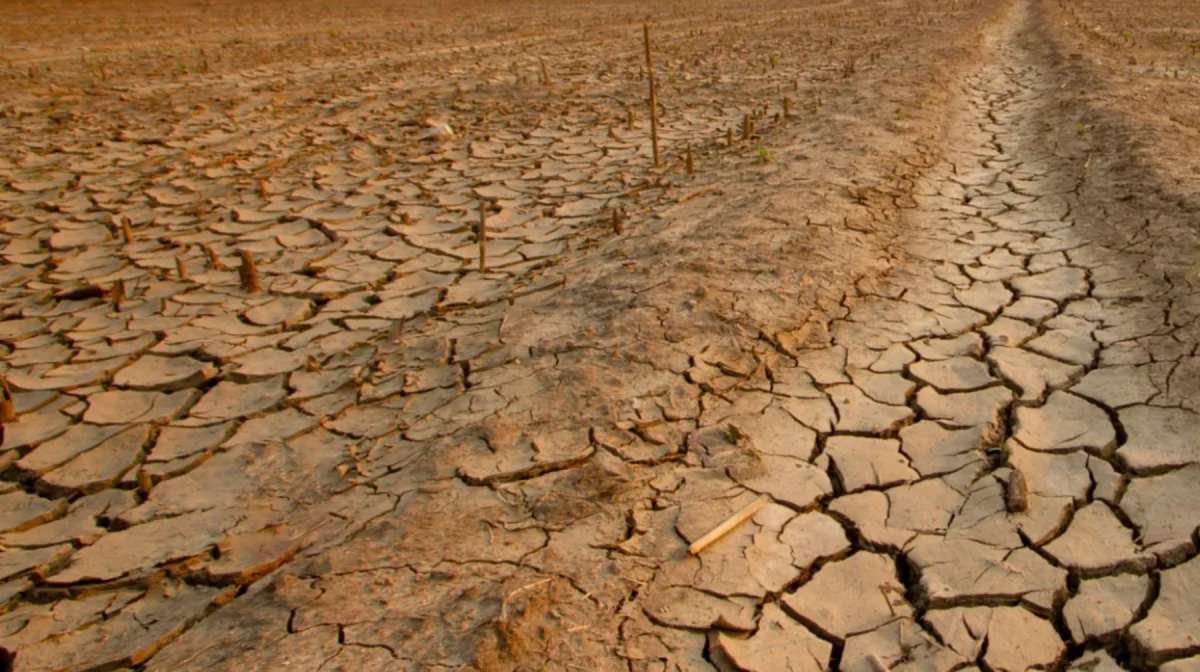 Засуха угрожает аграрным регионам Казахстана