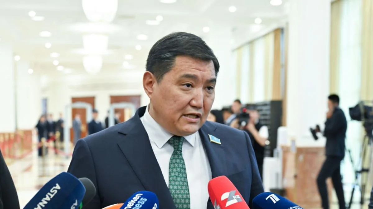 Базарбек требует возбуждения уголовных дел по итогам аудитов и проверок