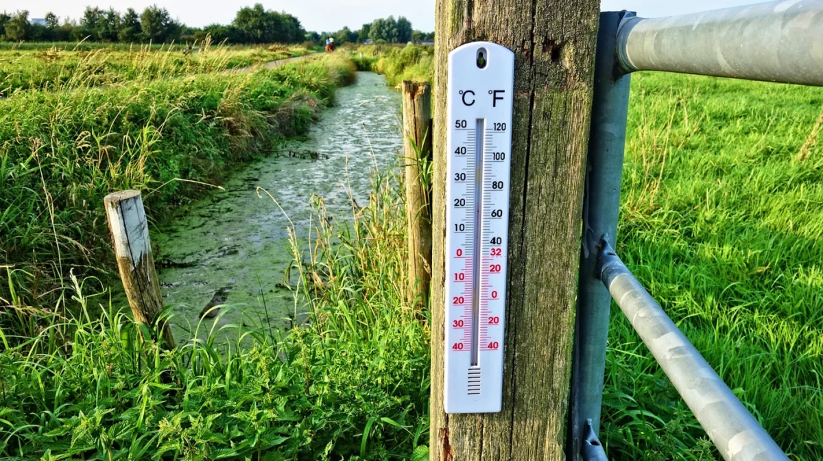 Экстремальная жара накроет Казахстан: температура поднимется до +47 градусов