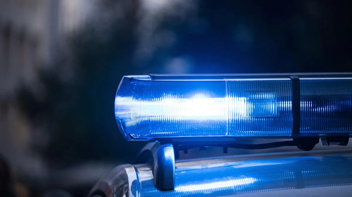 В Петропавловске женщину наказали за попытку выглядеть как полицейский