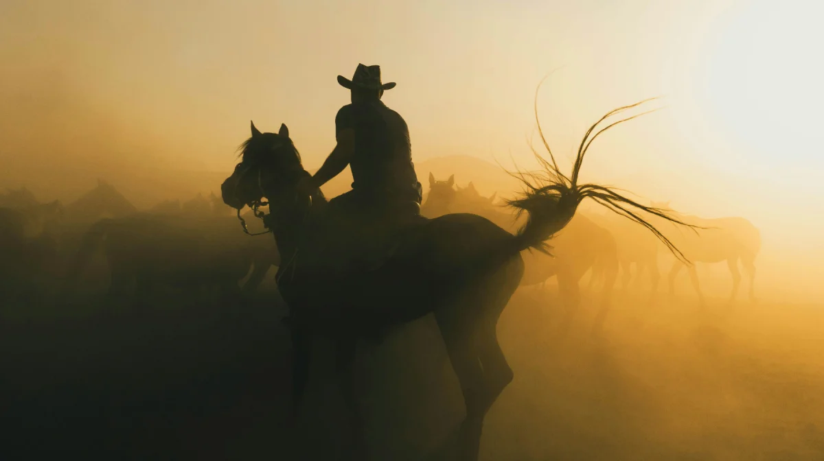 Привязал жену к лошади и тащил по степи: в Жетысу расследуют жестокое убийство