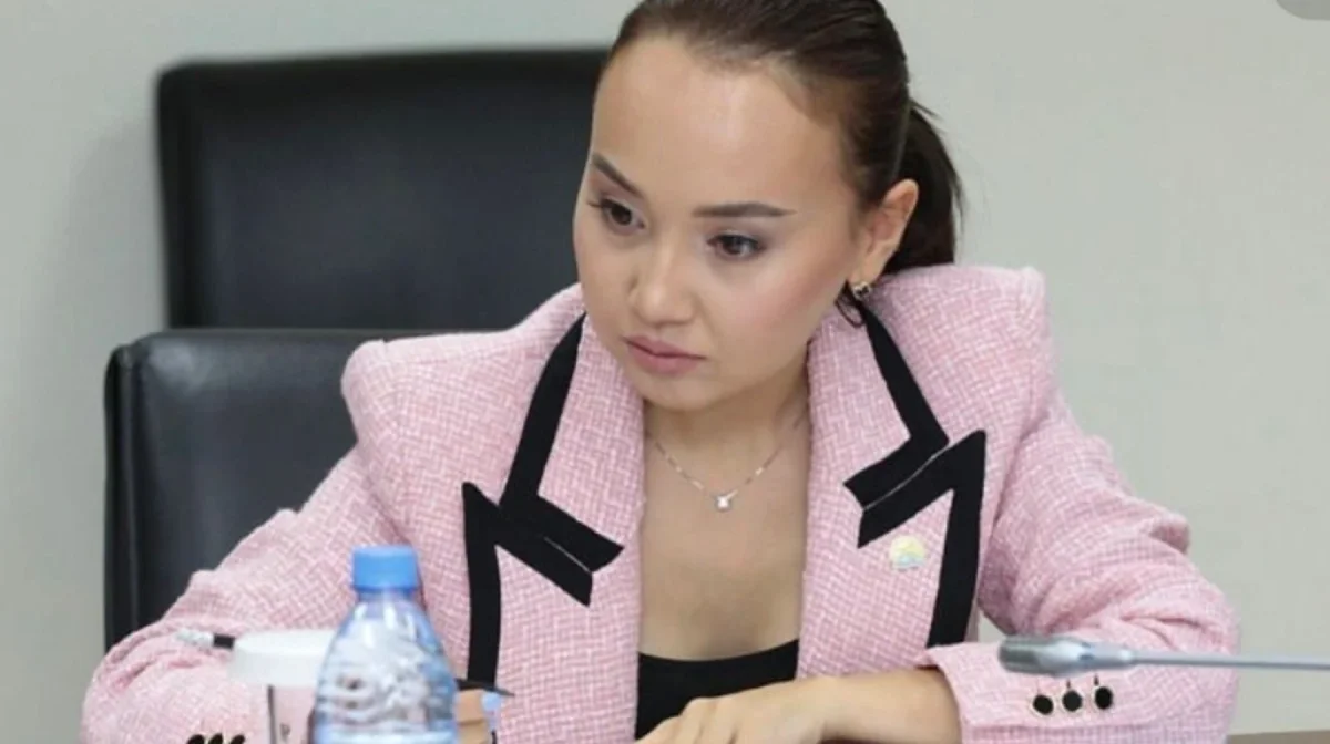 Китайские сумки и пачки денег: cхему обналичивания озвучили в суде по делу Перизат Кайрат