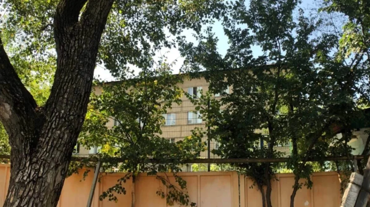 Бағанашылдағы балалар үйінің Қонаевқа көшірілуі: 2,5 гектар жер кімге берілмек?