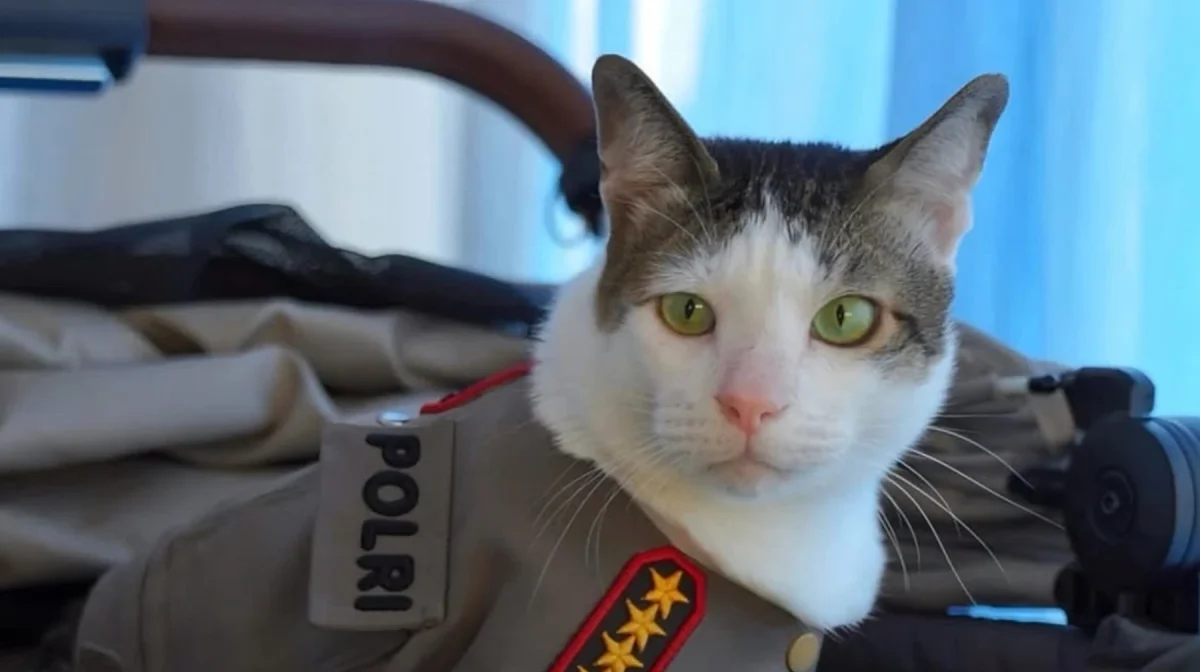 Президенттің мысығына мемлекеттік күзет берілетін болды