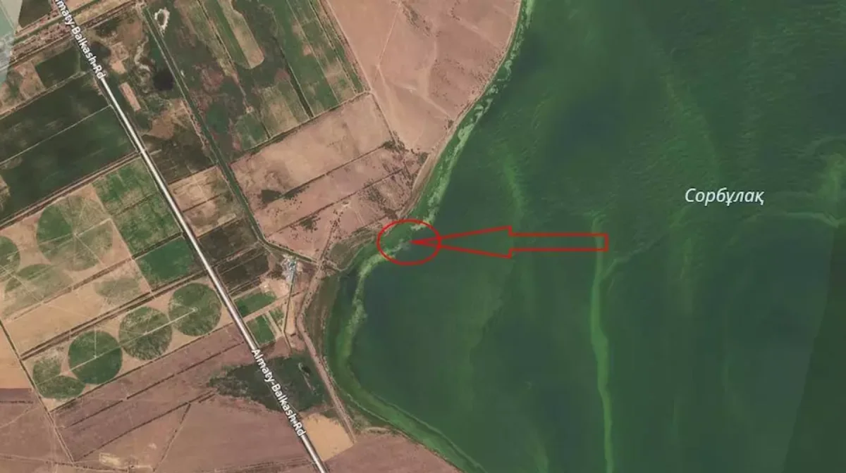 На озере Сорбулак обнаружены фрагменты пропавшего военного вертолета