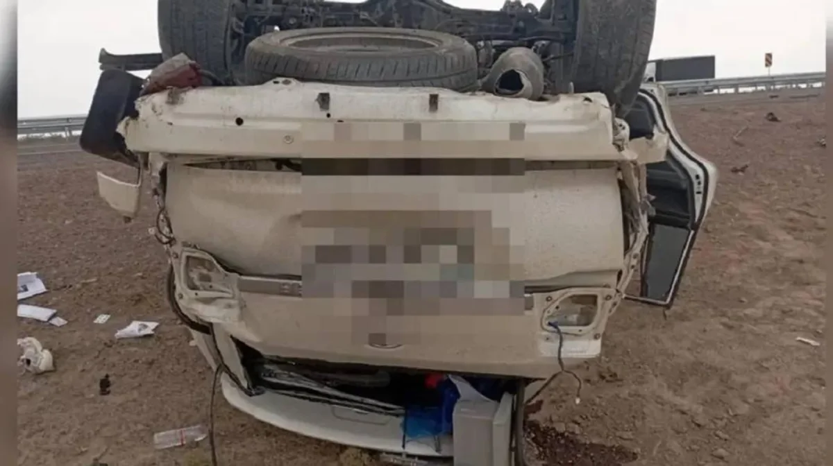 Жена бойца UFC Шавката Рахмонова попала в ДТП: погибли 2 человека