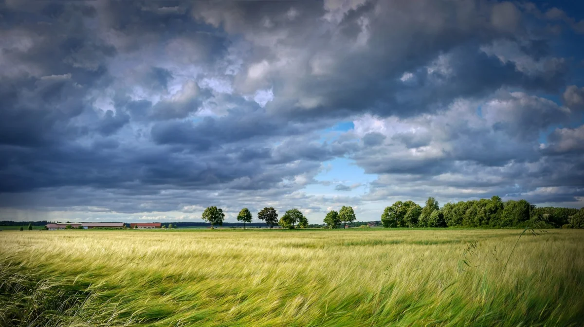 Казахстанцев предупредили об угрозе штормов и резком похолодании