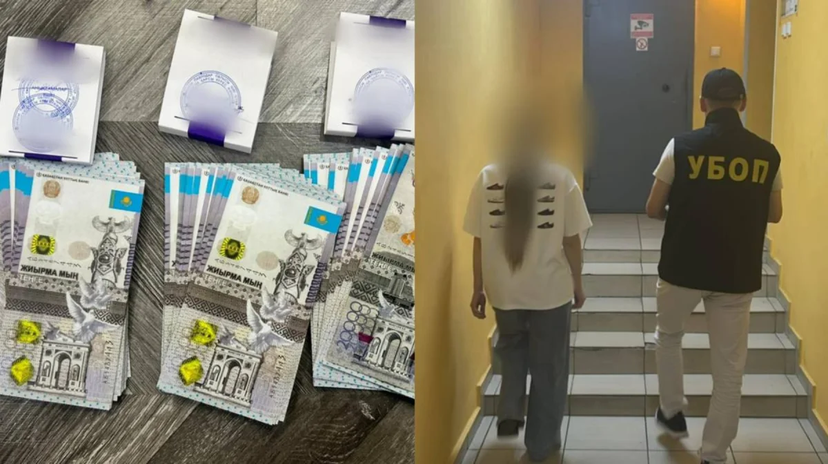 Торговля органами: иностранка хотела продать почку в Павлодаре