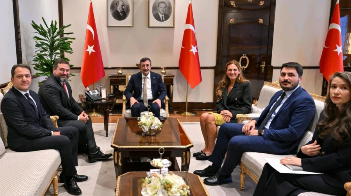 Түркия вице-президенті Джевдет Йылмаз Михаил Ломтадземен кездесті