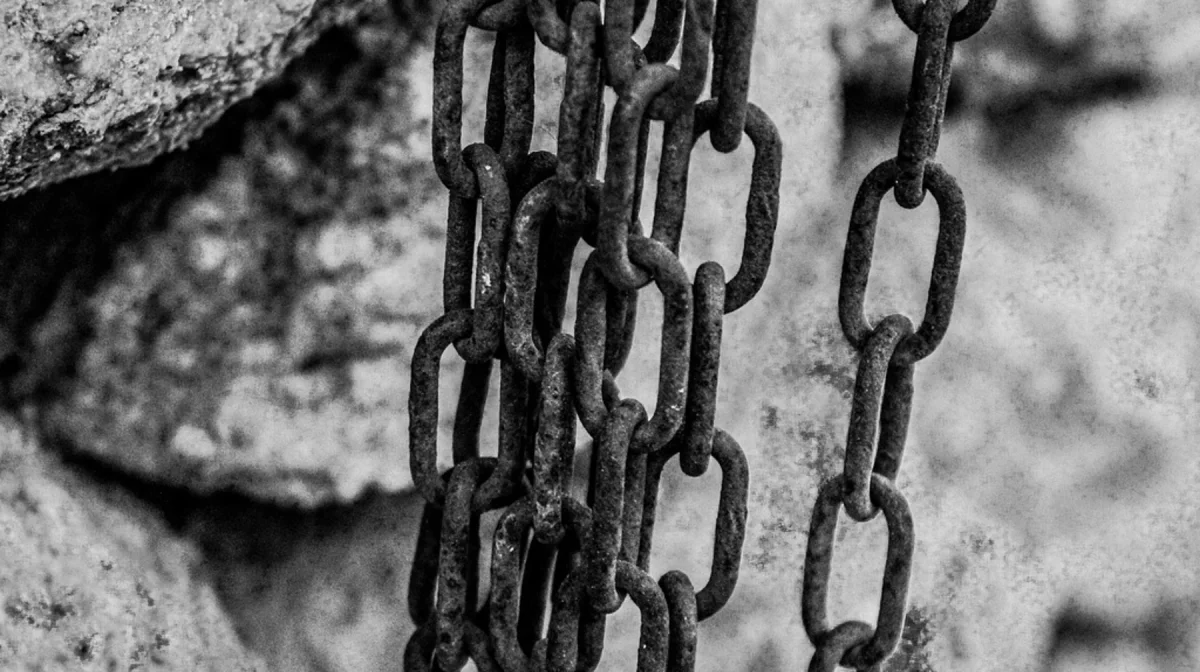 В Жамбылской области раскрыли страшный случай рабства над детьми