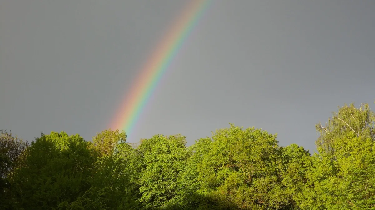 Жара сохраняется на юге, на остальной территории Казахстана ожидаются дожди с грозами