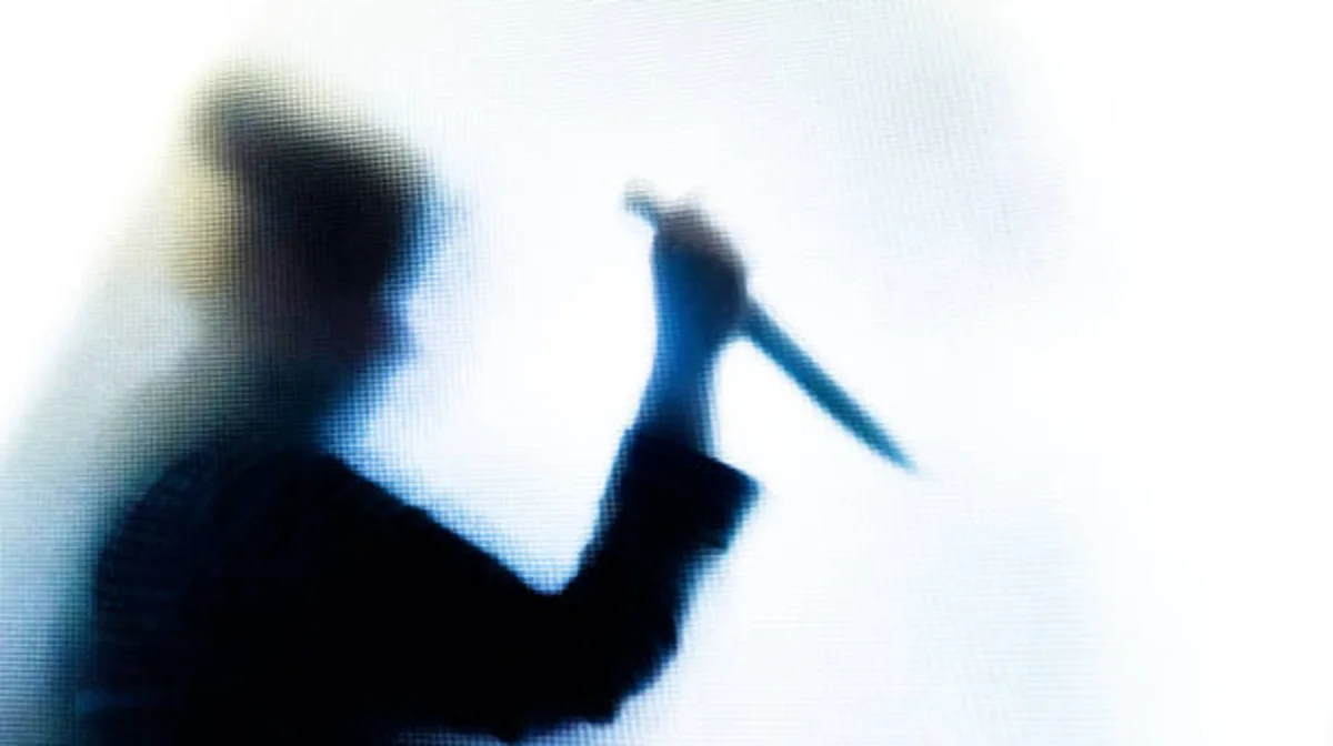 «Жеті рет пышақ сұққан»: Ұлытауда анасы мен қызын қатыгездікпен өлтіріп кетті