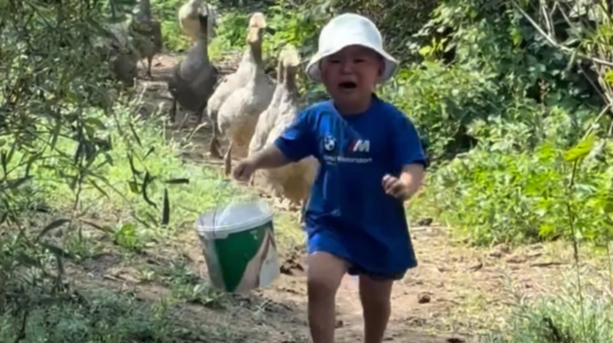 Snoop Dogg заметил мальчика из Актобе, убегающего от гусей (ВИДЕО)