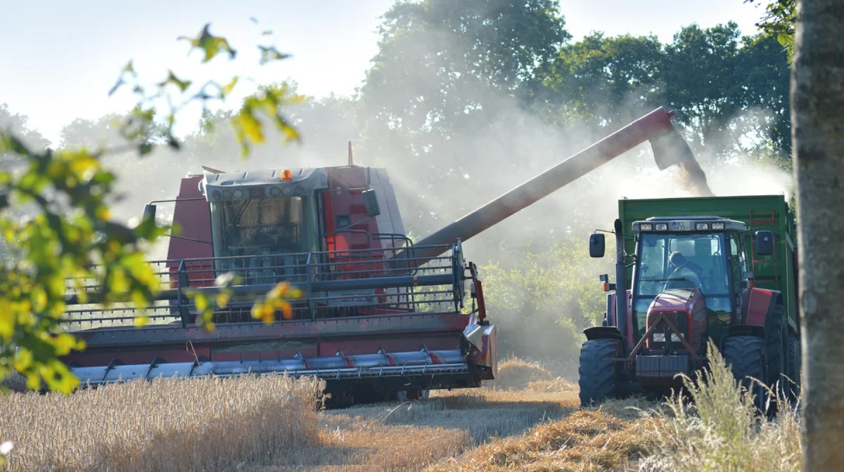 Кризис на уборке: фермерам не хватает дизтоплива для сушки зерна