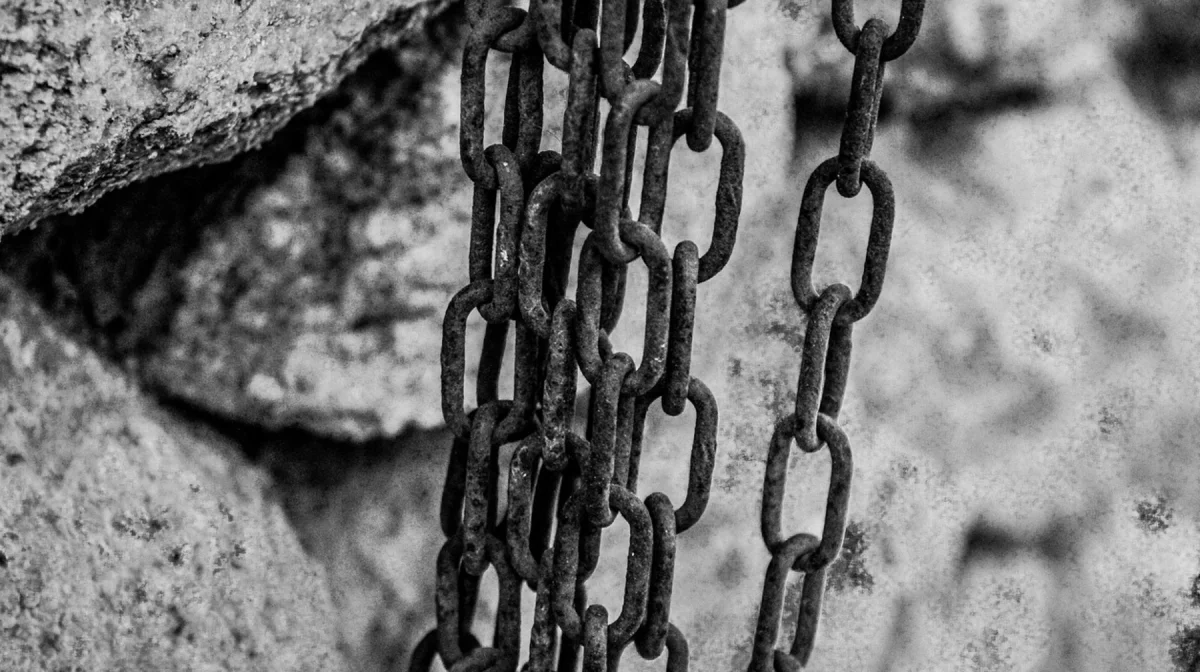 Детей держали в рабстве в Жамбылской области: дело направили в прокуратуру