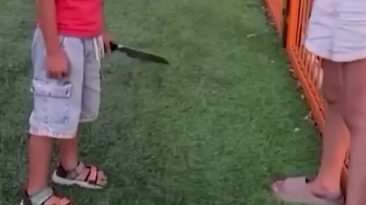 В Астане шестилетний мальчик размахивал ножом на детской площадке