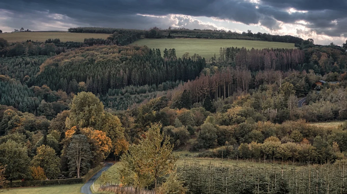 Погода в Казахстане 4 сентября: грозы на западе, жара на юге