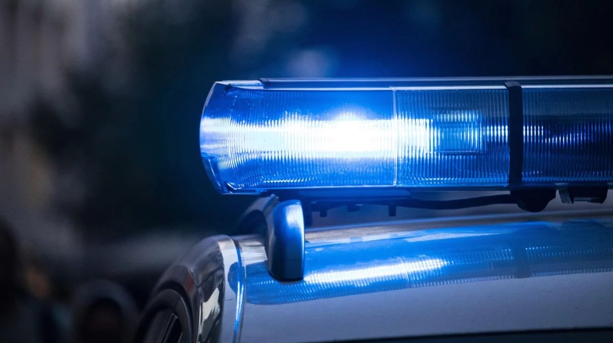 Убийство и похищение ребёнка в Талгаре: уголовное дело возбудили по факту бездействия полицейских