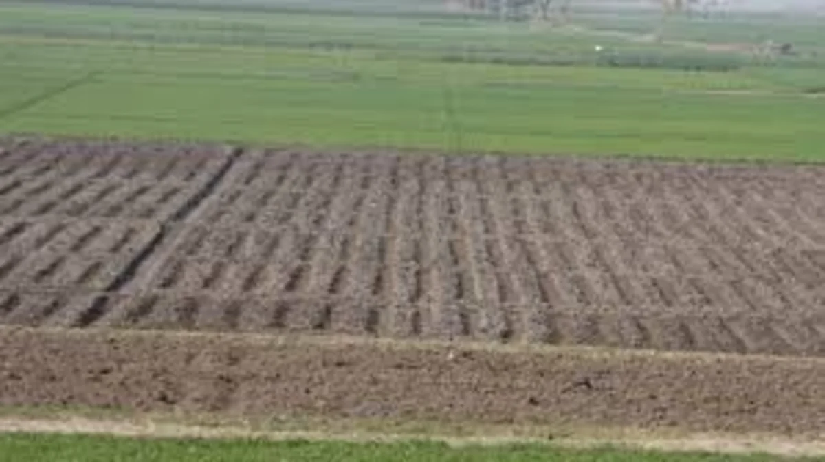 7,5 млн гектаров простаивают: депутаты требуют ускорить распределение земель