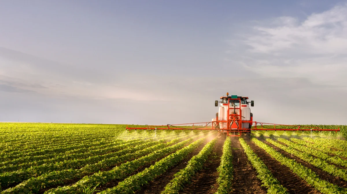 Сельское хозяйство Алматинской области демонстрирует устойчивый рост