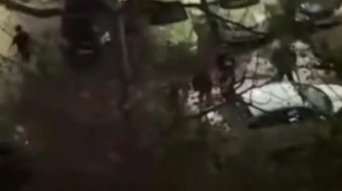 Алматыда үш жігіт қызды күштеп алып қашпақ болды