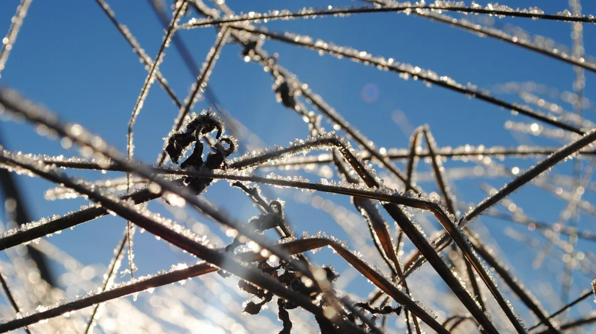 Грозы и заморозки ожидаются в нескольких регионах Казахстана 22 сентября