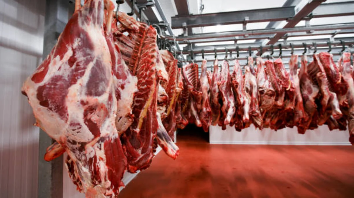 Министрлік ет нарығындағы жағдайға байланысты жедел желіні іске қосты