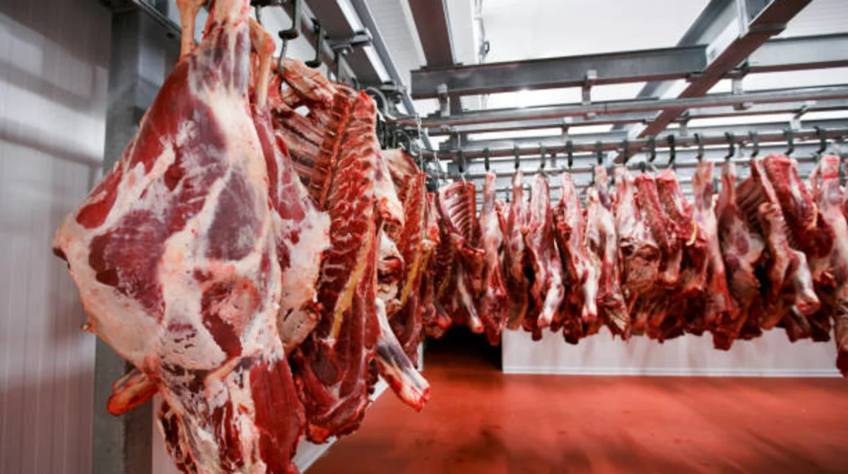 Министрлер сиыр етін қаншаға сатып алғанын айтты