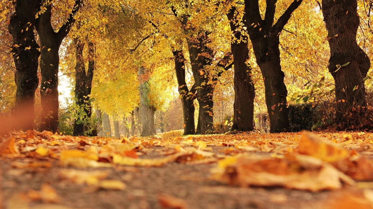 Погода в Казахстане на 24 сентября: тепло и без осадков по всей стране