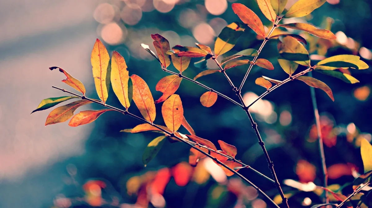 Погода в Казахстане на 25 сентября: тепло на юге, ветер на севере и востоке