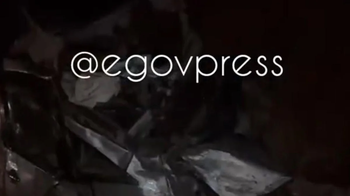 Алматы облысында жол апатынан 8 адам ажал құшты