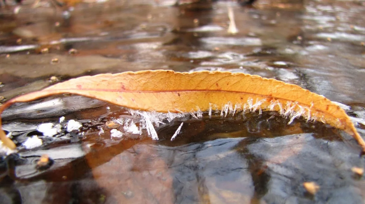 Казахстан накроют заморозки и сильный ветер