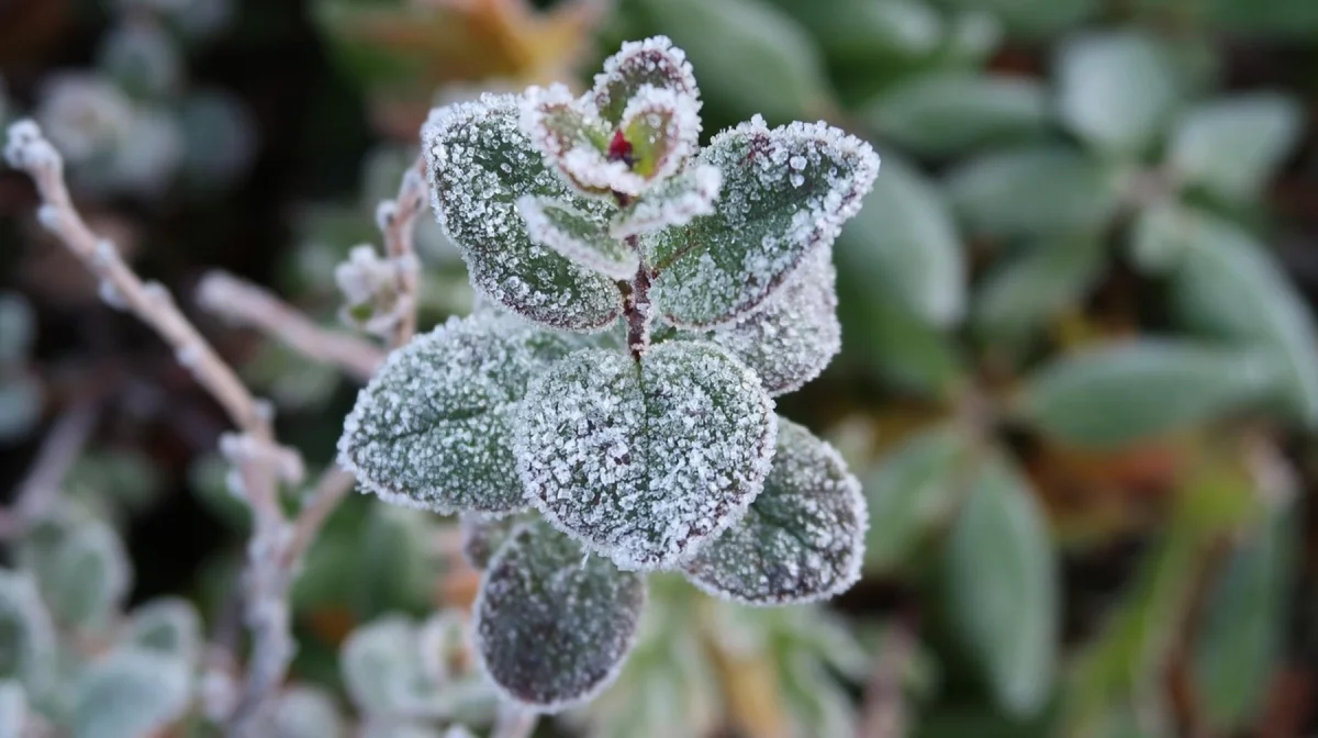 Прогноз погоды на 7 октября: в Казахстане ожидаются заморозки