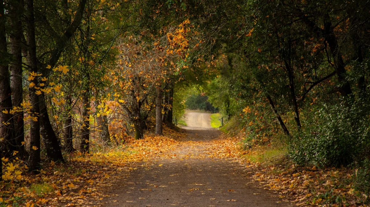 Погода в Казахстане на 9 октября: тепло и без осадков