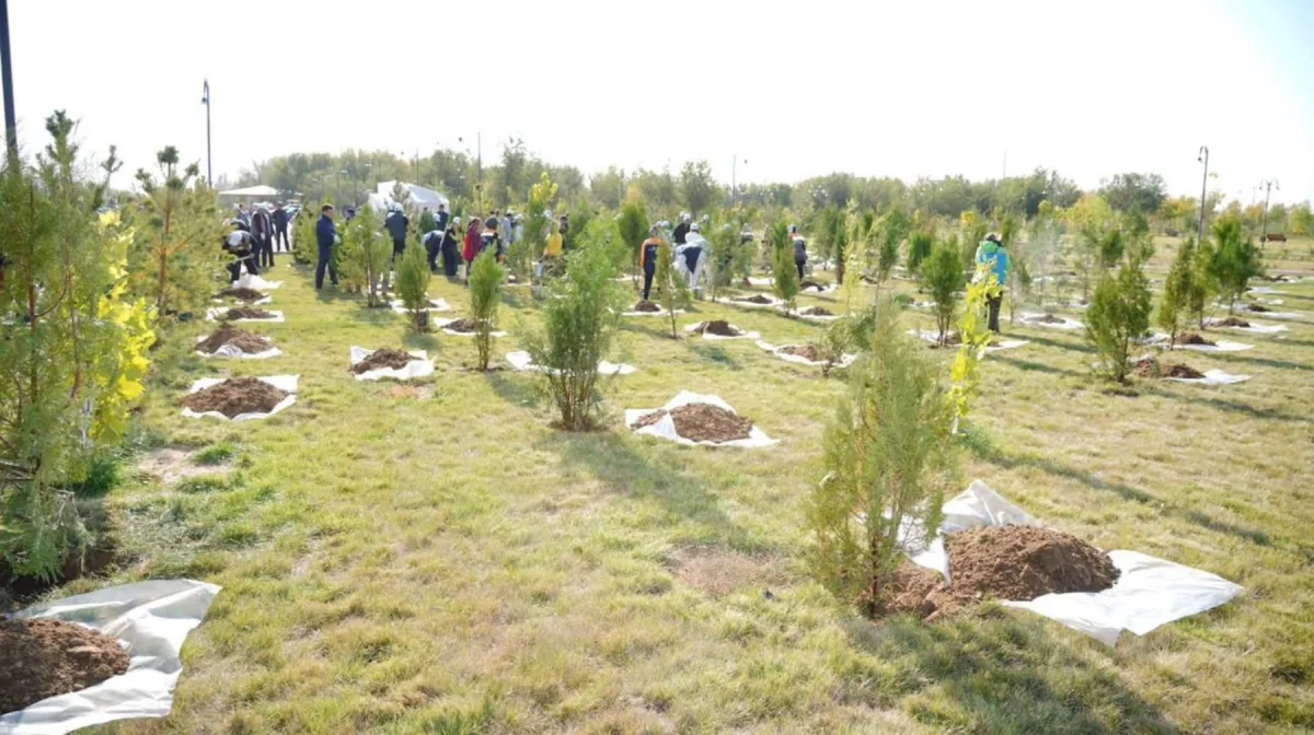 В Туркестанской области прошел масштабный субботник в рамках программы «Таза Қазақстан»