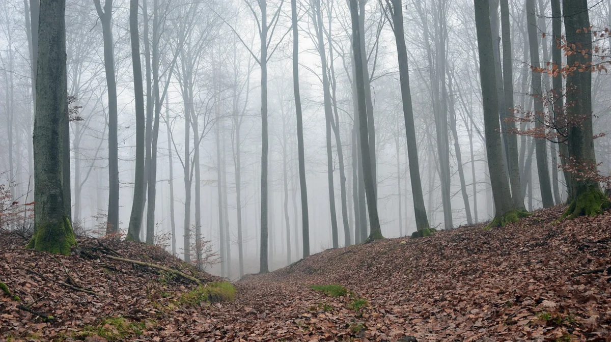 На севере Казахстана существенно похолодает 13 октября