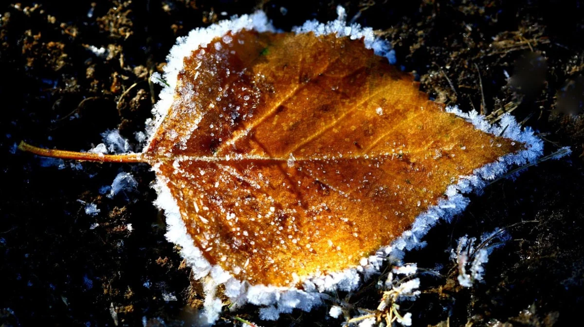 Какой будет погода в Казахстане 23 октября